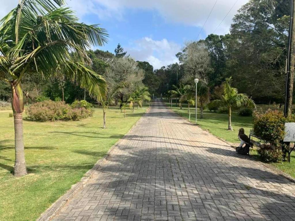 Palm Villa ポート・エリザベス エクステリア 写真